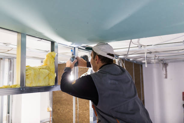Best Insulation Maintenance and Repair in Bargersville, IN