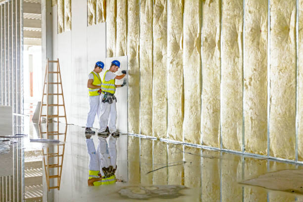 Best Geographic-Specific Insulation Services in Bargersville, IN